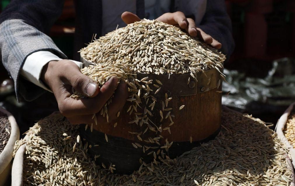 Rússia diz não ver razão para prolongar acordo de cereais
