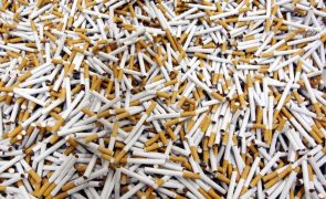 Fisco moçambicano apreende dois contentores de tabaco por sonegação de imposto