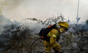 Mais de 50 concelhos de sete distritos em perigo máximo de incêndio