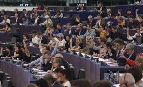 Parlamento Europeu dá aval a Lei do Restauro da Natureza