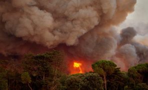 Sete anos e meio de prisão para autor de oito incêndios florestais em Vila Verde