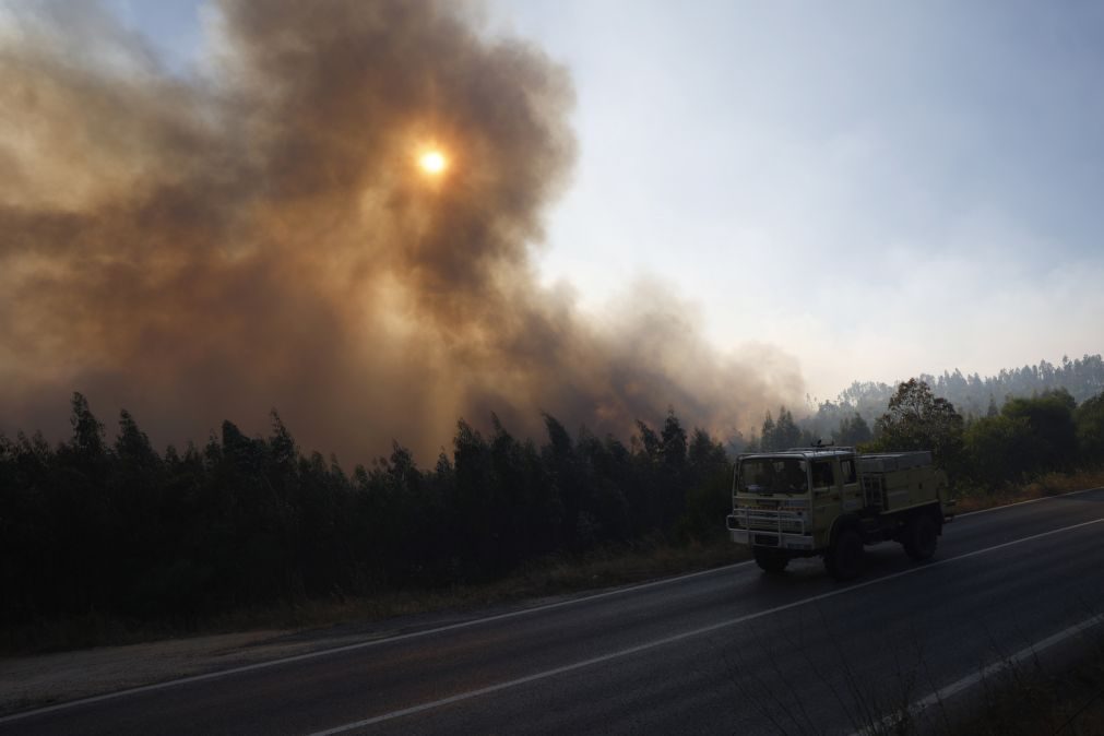 Onze meios aéreos combatem fogo na serra do Montejunto