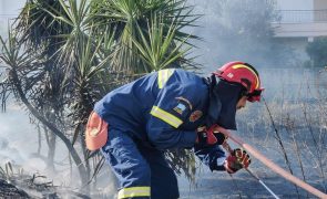 Incêndios florestais ameaçam casas no litoral grego