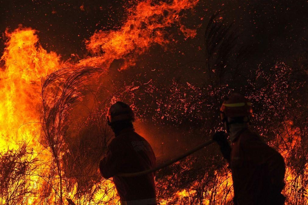 Onze meios aéreos e 242 operacionais combatem fogo em Pedrógão Pequeno