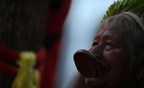 Líderes indígenas brasileiros recordam luta pela terra em evento inédito