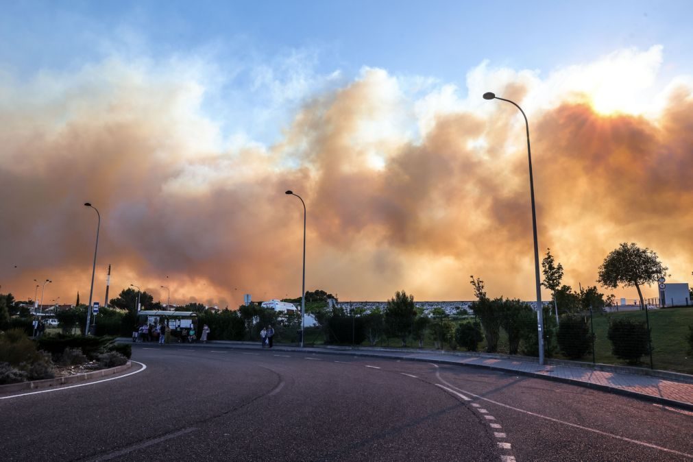 Incêndio em Alcabideche corta A5 entre Alvide e Cascais