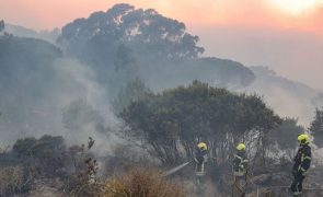 Operacionais a combater incêndio em Cascais aumentaram para 637