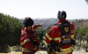 Dezoito concelhos do país em risco máximo de incêndio