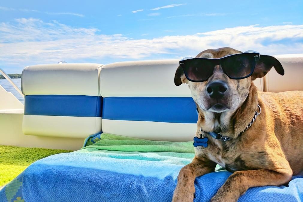 Meteorologia: Previsão do tempo para terça-feira, 22 de agosto