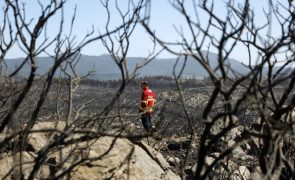 Mais de 50 concelhos de sete distritos em perigo máximo de incêndio