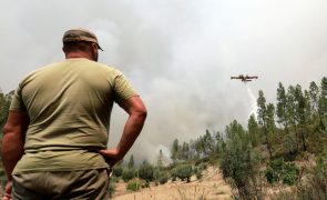 Incêndio corta três estradas no concelho de Proença-a-Nova