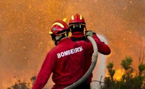 Mais de uma centena de concelhos de 14 distritos em perigo máximo de incêndio
