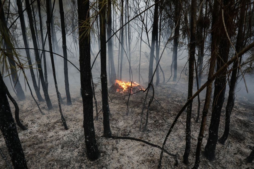 Proteção Civil alerta para risco de incêndios