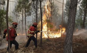 Fogo na Sertã combatido por 239 operacionais e 15 meios aéreos