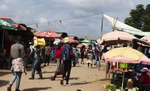 Oxford Economics melhora crescimento em Moçambique para 4,4% este ano