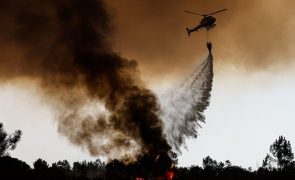 Mais de 300 operacionais combatem fogo em zona de mato e floresta em Monchique