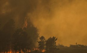 Cerca de 40 concelhos de seis distritos em perigo máximo de incêndio