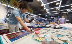 Japão anuncia fundo de emergência para apoiar exportadores de produtos do mar