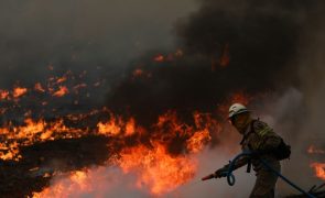 PJ detém suspeito de dez fogos florestais em Vila Nova de Paiva