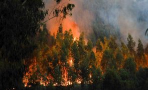 Mais de 620 bombeiros combatem o incêndio em Coimbra