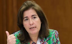Ministra diz que existem 70 mil trabalhadores em situação irregular em empresas notificadas pela ACT