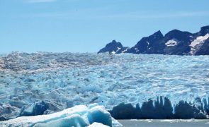 Cientistas alertam que gelo que rodeia Antártida está a diminuir perigosamente