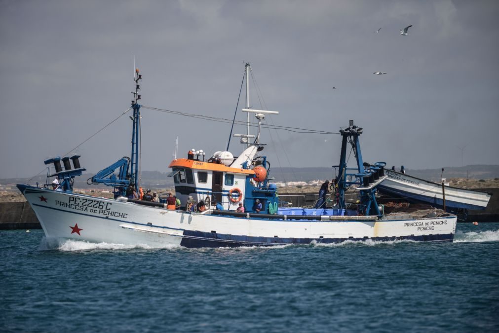 Pesca da sardinha com novos limites a partir de hoje