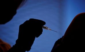 Especialistas divulgam recomendações para aumentar adesão à vacinação contra a gripe