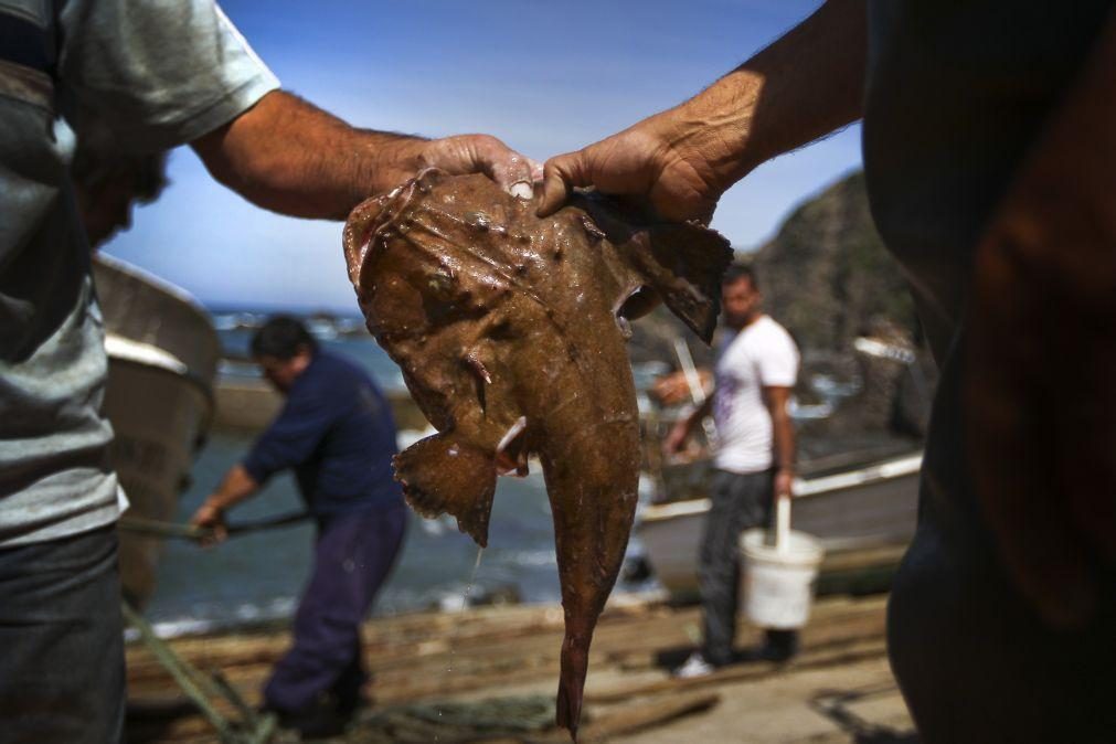 Pesca de tamboril e peixe-espada preto podem ser encerradas a curto prazo