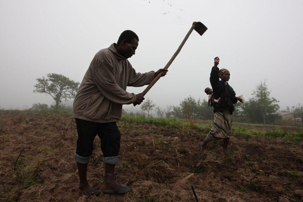 Insegurança alimentar aguda entre colheitas diminui 30% em Cabo Verde