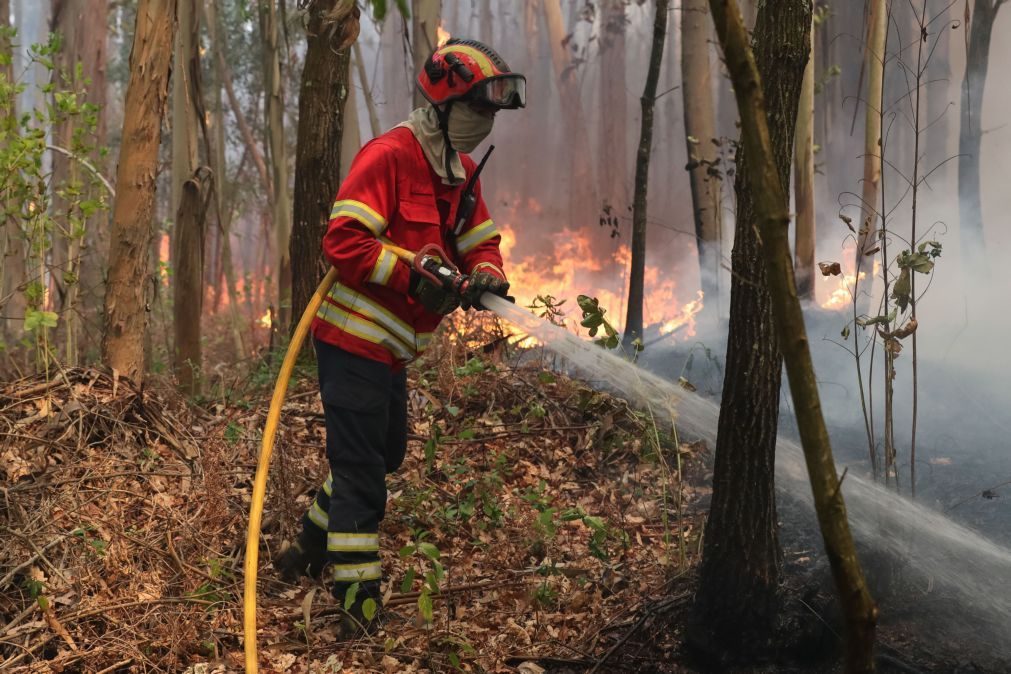 Vinte E Cinco Concelhos De Seis Distritos Em Perigo Máximo De Incêndio Impala 2806