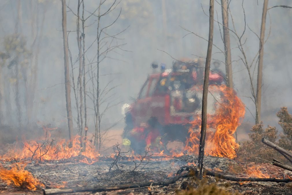 Comissão de Proteção Dados veta divulgação integral de relatório sobre Pedrógão Grande