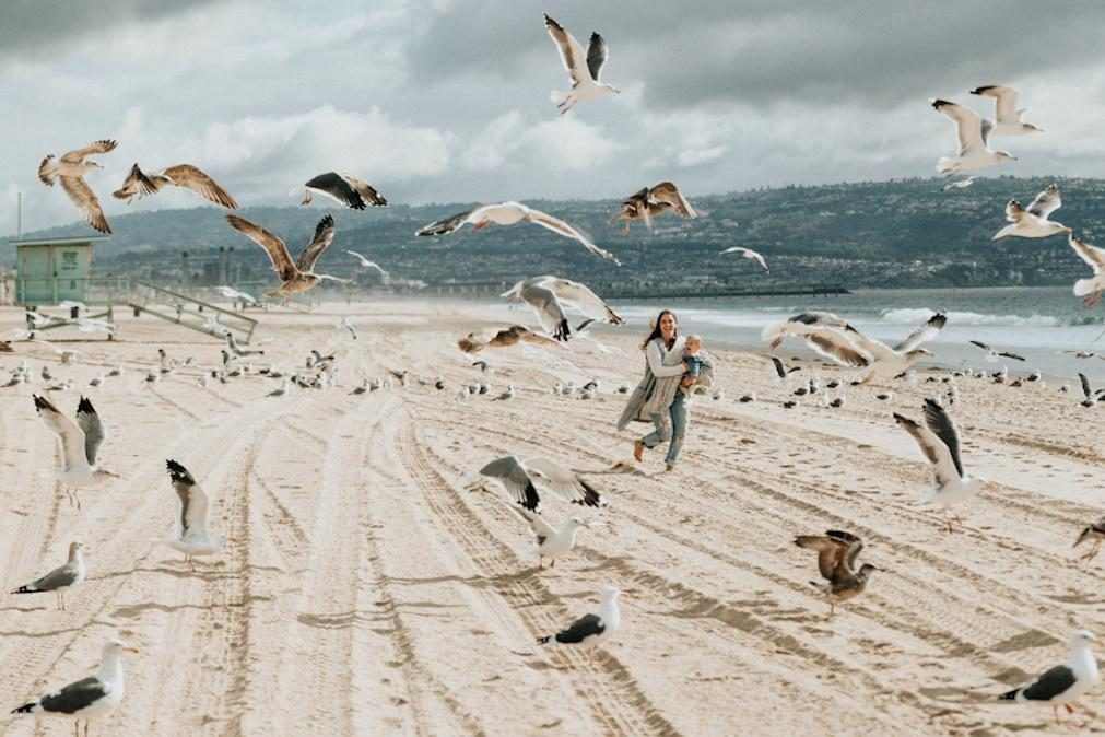 Meteorologia: Previsão do tempo para quinta-feira, 16 de novembro