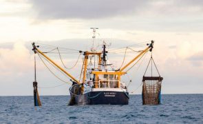 Ministros das Pescas da UE procuram hoje acordo sobre quotas para 2024