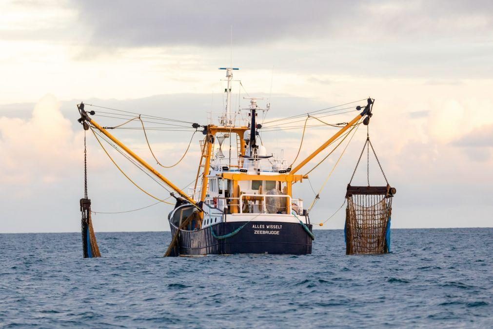 Ministros das Pescas fecham acordo para capturas em 2024 após maratona negocial