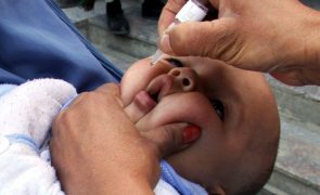 Vírus sincicial respiratório levou ao internamento de 145 bebés desde outubro