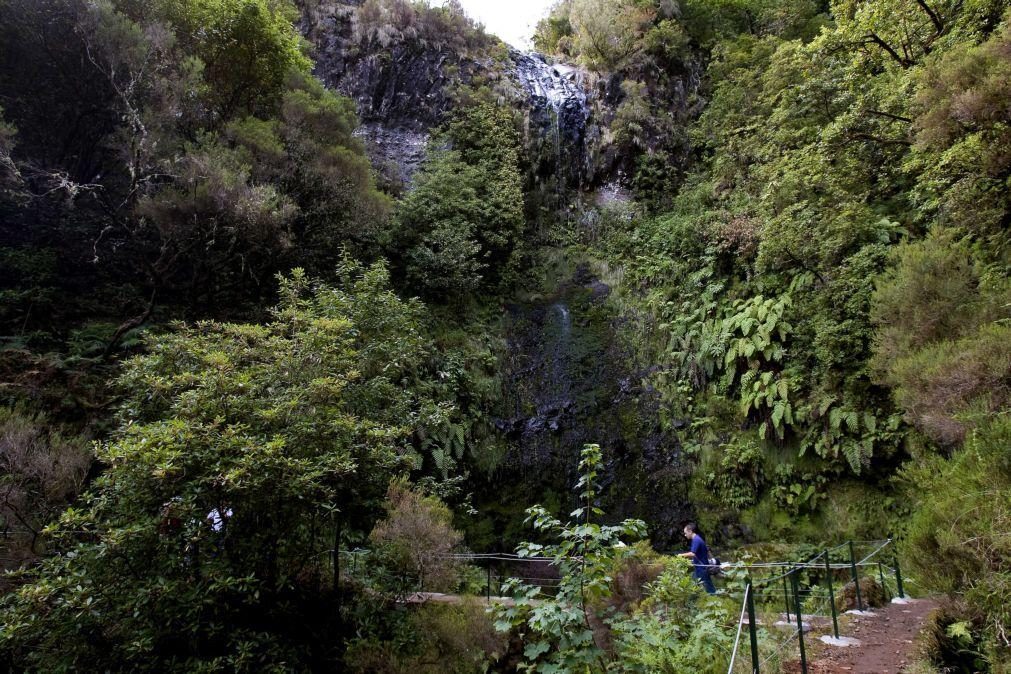 Percursos pedestres da Madeira encerrados devido ao mau tempo