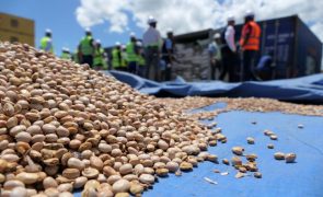 Disputa sobre feijão bóer causa prejuízo de 446 mil dólares em porto moçambicano