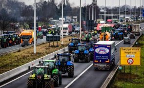 Simplificação é chave de pacote de medidas a anunciar aos agricultores em Bruxelas