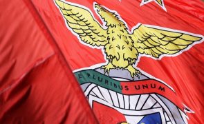 Benfica multado em sete mil euros por esfaqueamento de adepto na Luz