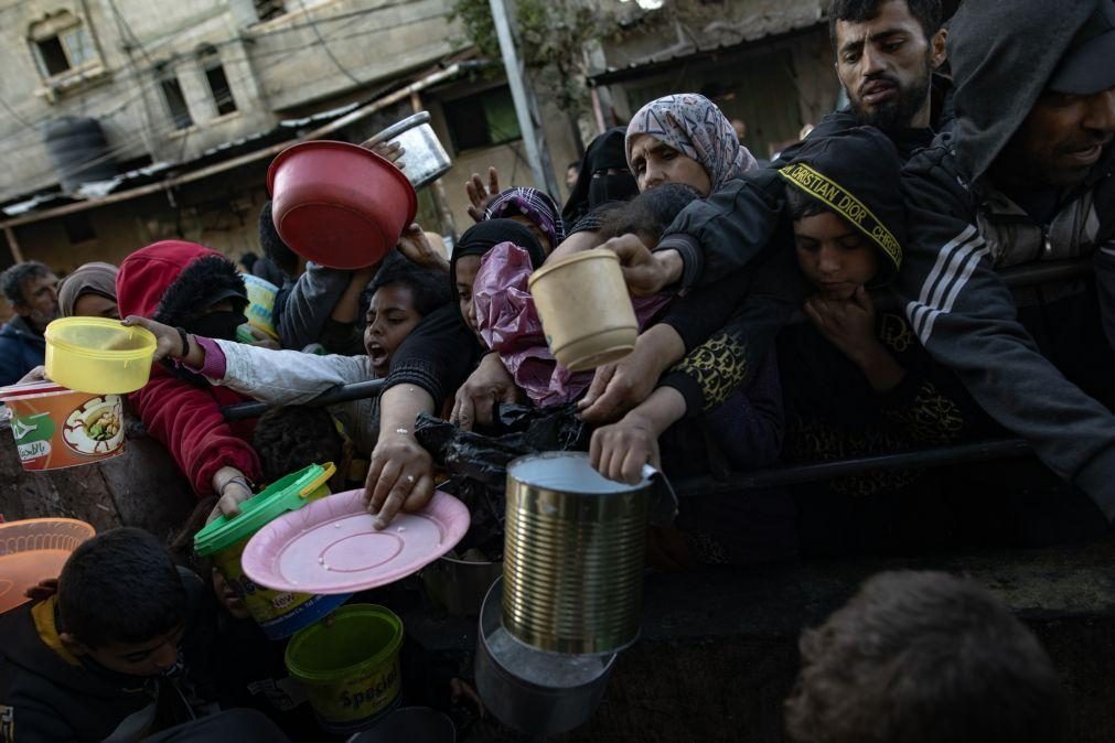 Metade dos habitantes da Faixa de Gaza está em situação de fome catastrófica
