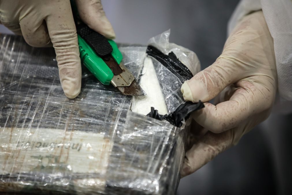 PJ apreende 11 mil doses de cocaína no interior de um cadáver