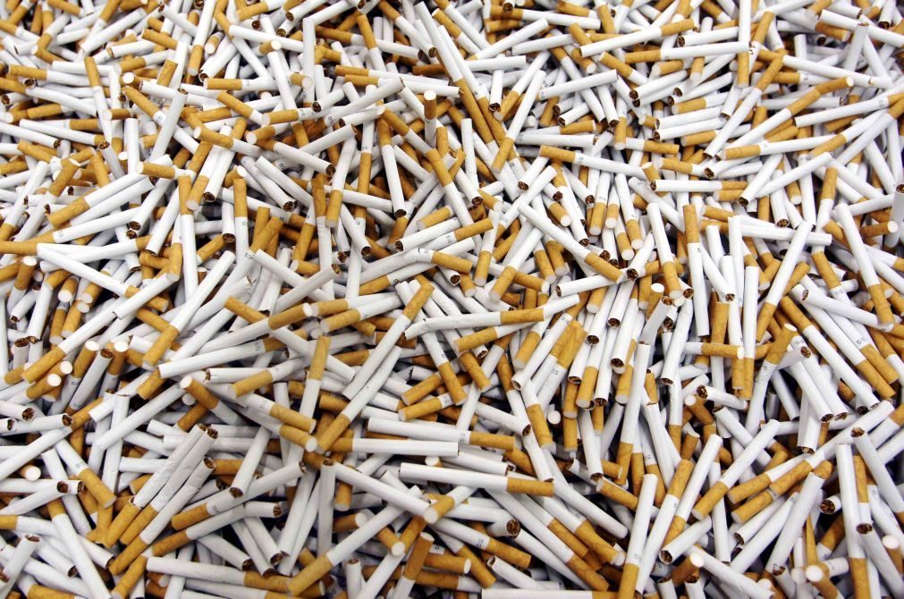 Apreendidos em Espanha milhões de cigarros falsificados e 33 toneladas de folhas de tabaco