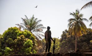 O guardião que sonha nova vida para histórico quartel de Guiledge na Guiné-Bissau