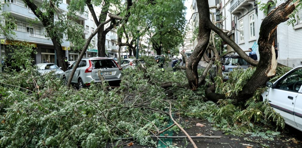 Um morto e cinco feridos ligeiros provocados pela tempestade Ana