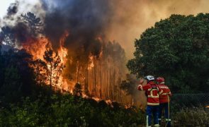 Fogos tiveram custo de 377,2 ME em Portugal em 2023