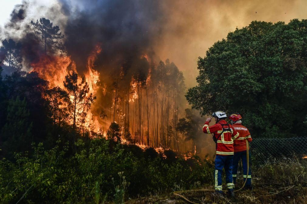 Fogos tiveram custo de 377,2 ME em Portugal em 2023