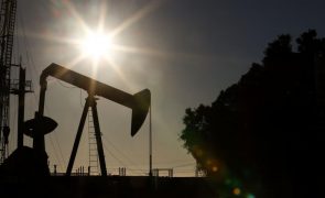 Agência Internacional de Energia revê em baixa aumento da procura mundial de petróleo