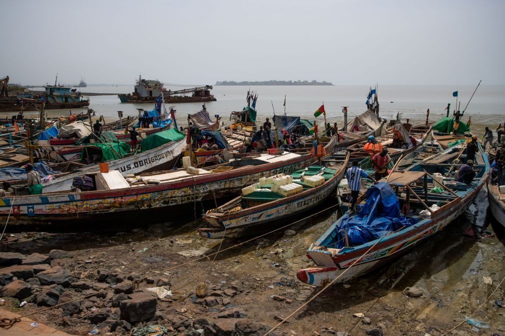 União Europeia paga 20 ME por ano para pescar no mar da Guiné-Bissau