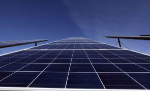 Nova central fotovoltaica em Abrantes vai representar investimento de 19 milhões de euros